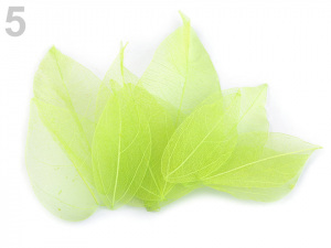 Síťovaný list dekorační 100 ks přírodní