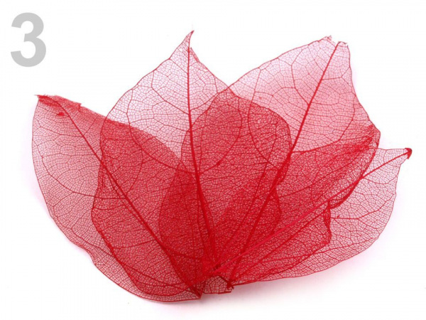 Síťovaný list dekorační 100 ks přírodní