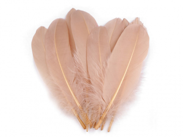Husí peří délka 12-21 cm