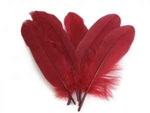 Husí peří délka 12-21 cm