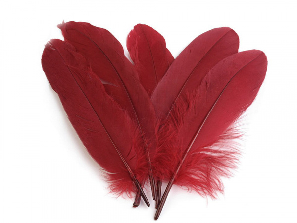 Husí peří délka 12-21 cm