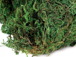 Dekorační mech 640 g