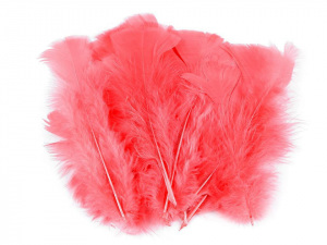 Krůtí peří délka 11-17 cm