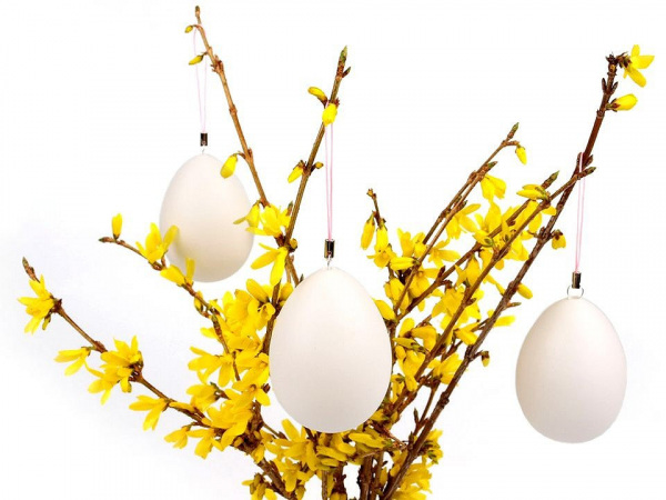 Plastové vejce 46x64 mm se závěsem