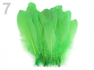 Husí peří délka 12-21 cm