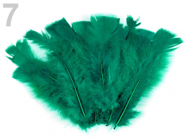 Krůtí peří délka 11-17 cm
