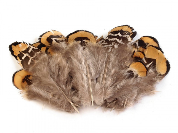 Bažantí peří délka 4,5-8,5 cm