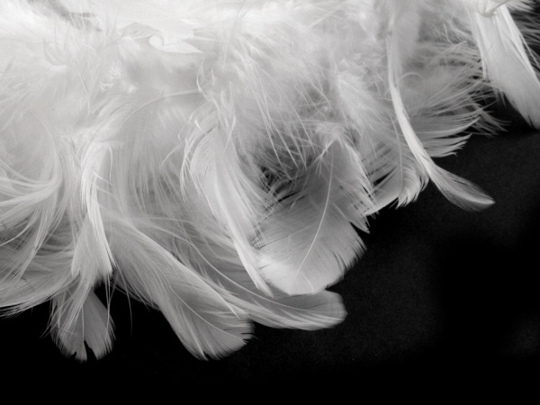 Dekorace srdce z peří