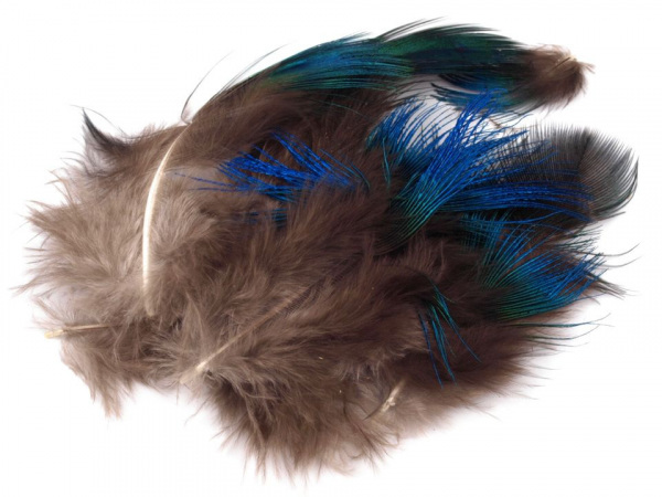 Paví peří délka 5-8 cm