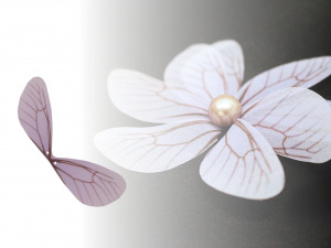 Křídla vážky - polotovar 2,5x8 cm