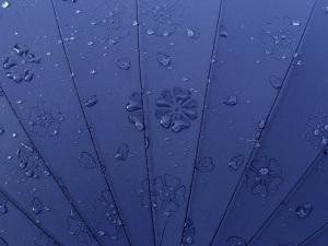 Dámský deštník kouzelný s květy