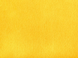 Filc / plsť metráž