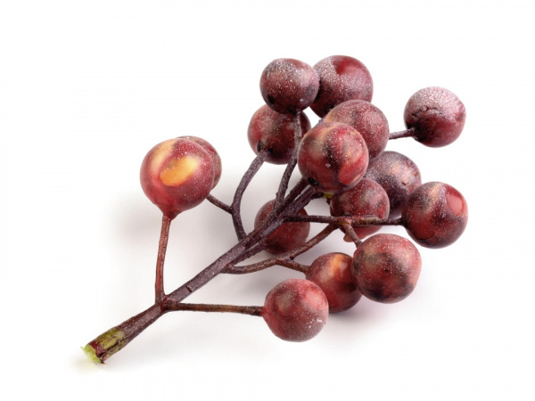 Umělé bobule trs k aranžování