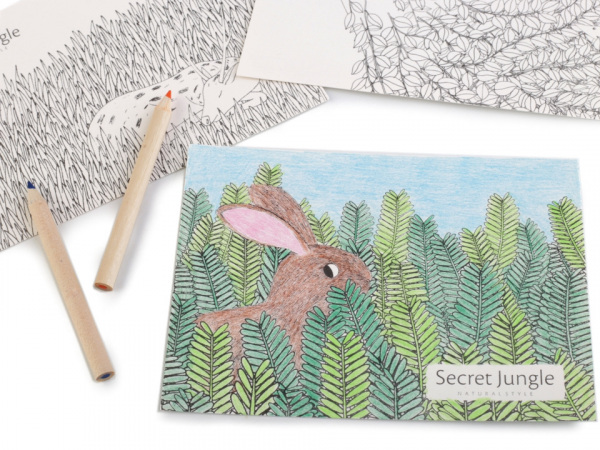 Kreativní sada pastelky, pohlednice a zápisník Languo