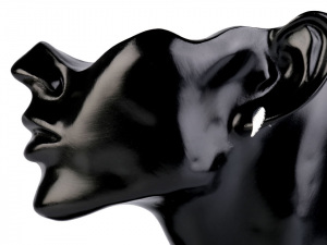 Náušnice křídla z nerezové oceli