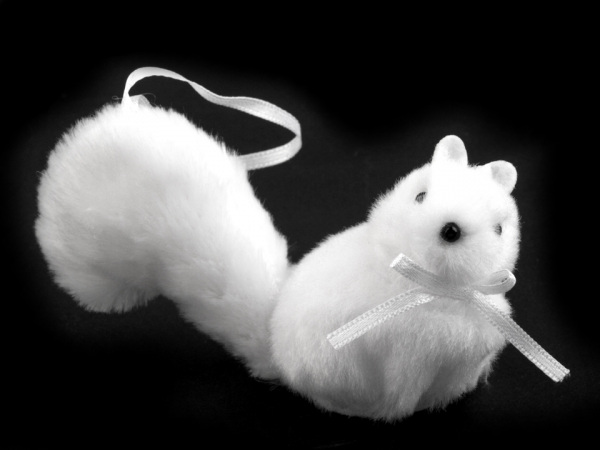 Veverka k zavěšení