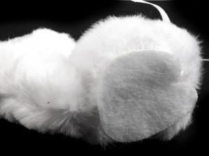 Veverka k zavěšení