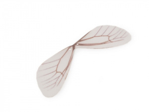 Křídla vážky - polotovar 2,5x8 cm