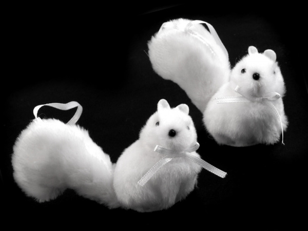 Veverka k zavěšení