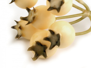 Umělé bobule trs k aranžování