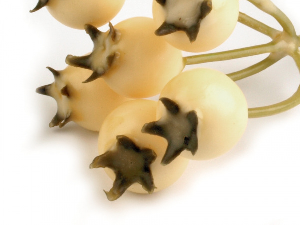 Umělé bobule trs k aranžování