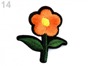 Nažehlovačka květ