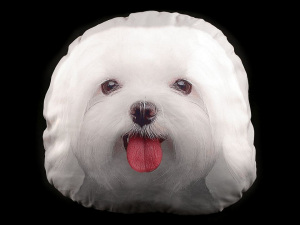 Dekorační polštář s výplní - kočka, pes, kůň, slon, auto, traktor