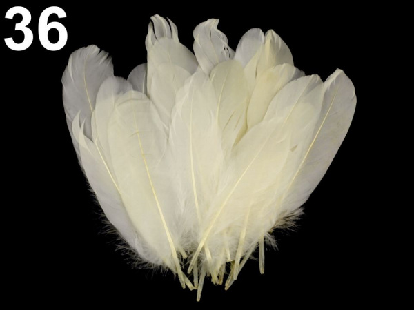 Husí peří délka 12-21 cm