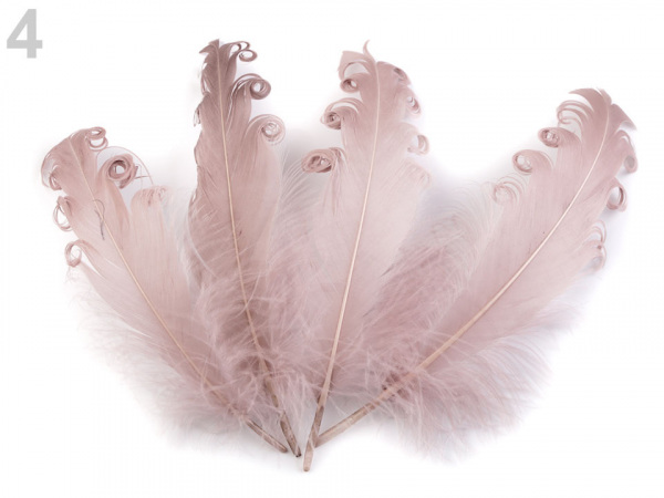 Husí peří kudrnaté délka 12-18 cm