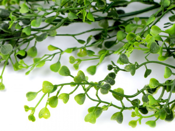 Umělý buksus k aranžování převislý