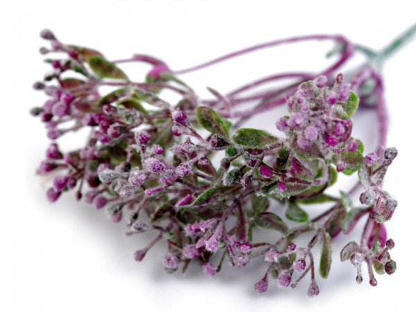 Umělý nevěstin závoj ojíněný k aranžování