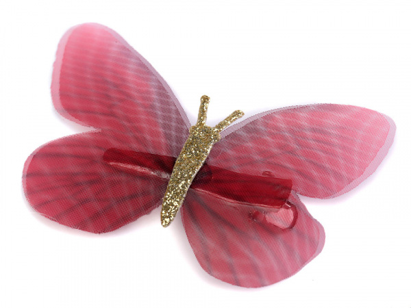 Motýl s klipem