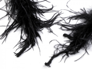 Boa - pštrosí peří 34 g délka 2 m