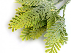 Umělá větvička kapradiny k aranžování