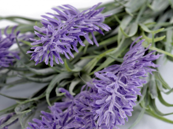 Umělá levandule k aranžování