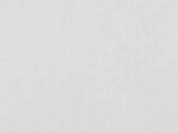 Ronolin 100 g/m² šíře 80 cm netkaná textilie