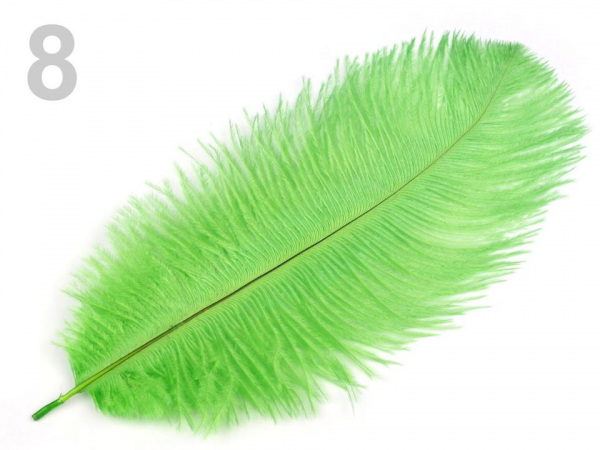 Pštrosí peří délka cca 20-25 cm