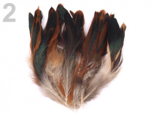 Slepičí peří délka 6-20 cm