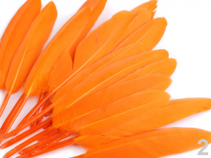 Kachní peří délka  9-14 cm