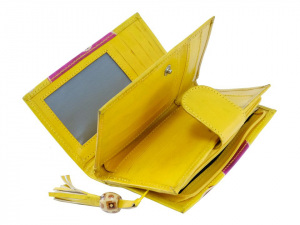 Dámská peněženka kožená