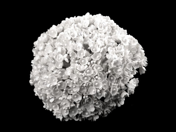 Květ na drátku / polotovar na vývazky Ø25 mm