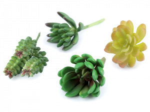 Umělý sukulent