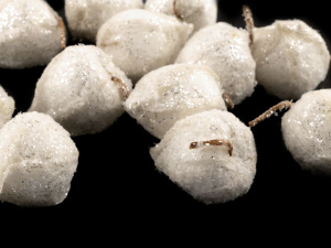 Umělá mochyně s glitry k aranžování