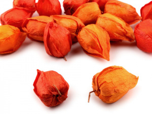 Umělá mochyně k aranžování