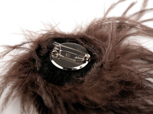 Brož s pštrosím peřím