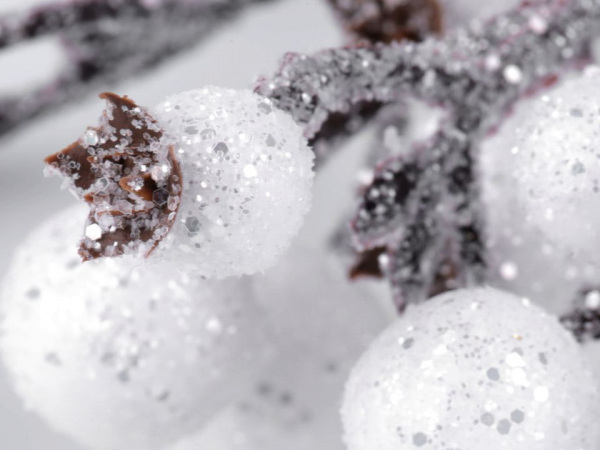 Větvička s ojíněnými bobulemi