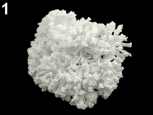 Květinové pestíky na drátku