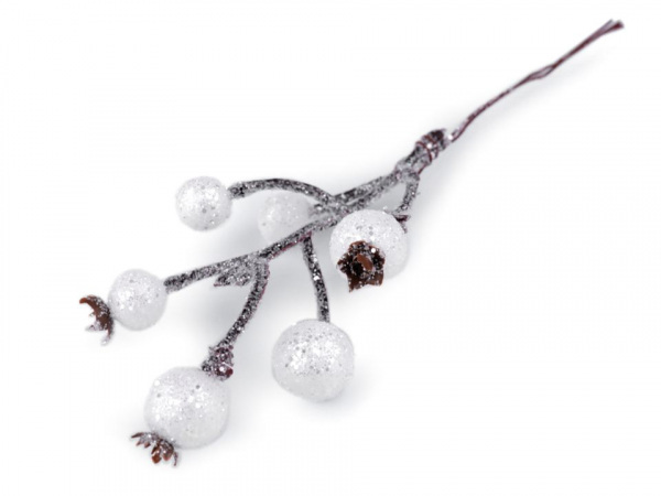 Větvička s ojíněnými bobulemi