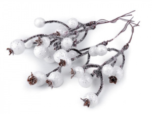 Větvička s ojíněnými bobulemi