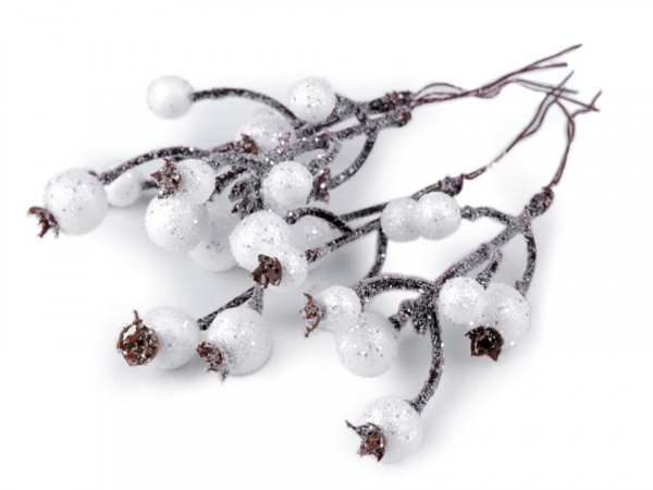 Větvička s ojíněnými bobulemi